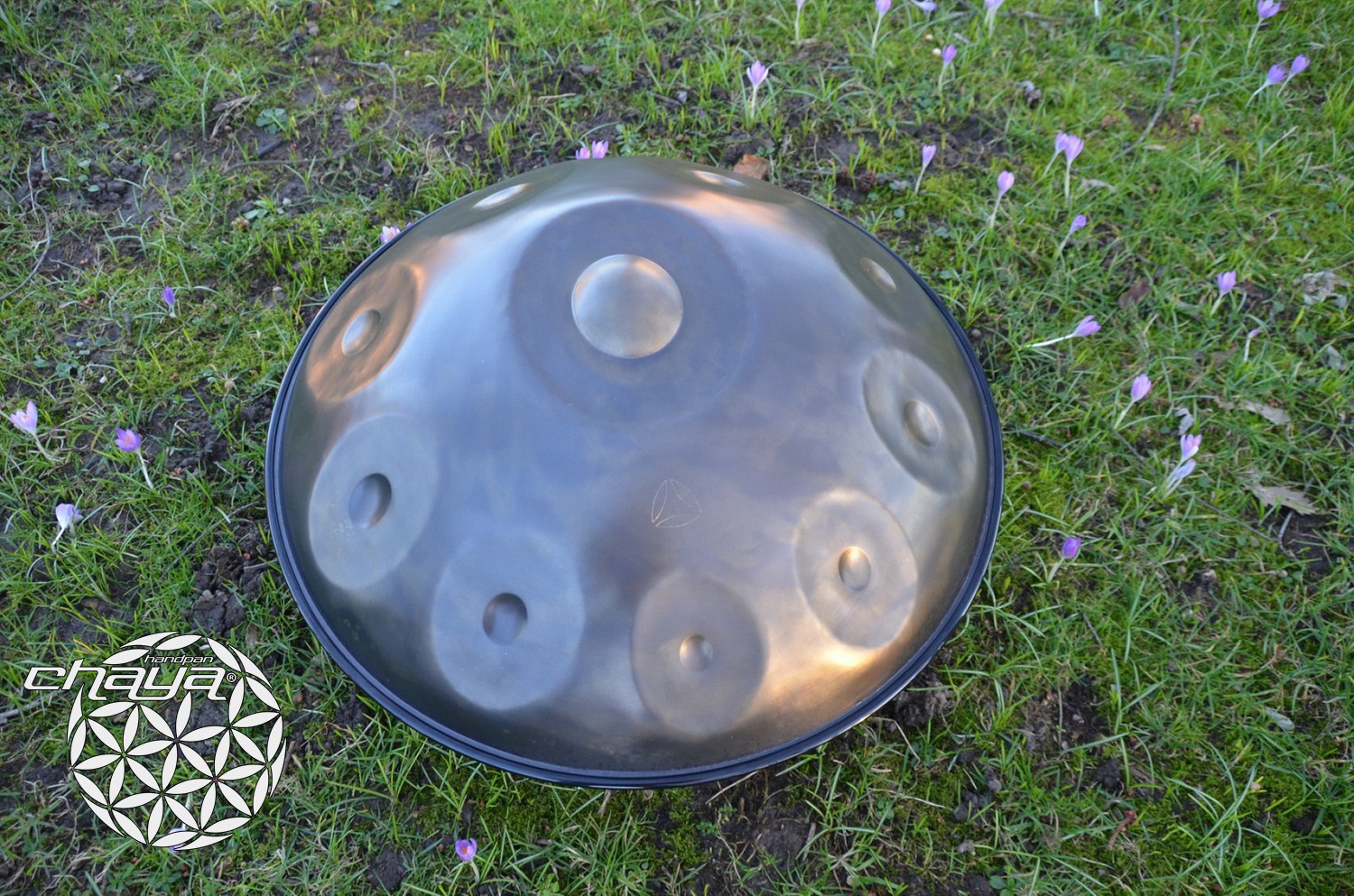 Fluisteren sterk bibliotheek Chaya handpan C-Amara - Chaya Handpan